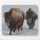 Recherche de consumerproduct tapis souris Les etats unis