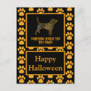 Recherche de chien beagle cartes postales Mignon