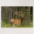 Recherche de elk puzzles Cerf