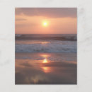Recherche de de plage prospectus Rose