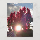 Recherche de flammes cartes postales Bleu