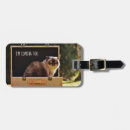 Recherche de chat drôle bagages étiquettes Identification