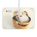 Recherche de drôle désodorisants voiture Pour tous