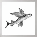 Recherche de poissons posters Mer