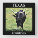 Recherche de longhorns horloges Texas