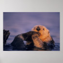 Zoek naar schoonmaken posters Schattig