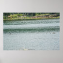 Recherche de canard posters Été