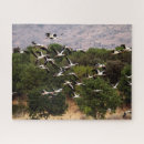 Recherche de cigognes puzzles Nature