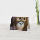 Recherche de orang outan vœux cartes Pour tous
