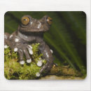 Recherche de zoologie tapis souris Nature
