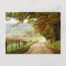 Zoek naar country road briefkaarten Landschap