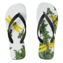 Recherche de de papillon chaussures Aquarelle