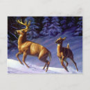 Recherche de chasse neige cartes postales Cerf