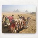 Recherche de caire tapis souris Pyramide