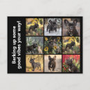 Recherche de canine cartes postales Chiots
