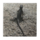 Recherche de lizard carreaux Animal