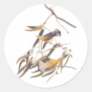 Recherche de audubon autocollants Pour tous