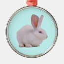 Zoek naar kawaii kerstdecoratie Dier