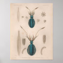 Recherche de créatures art Vintage