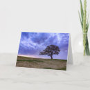 Zoek naar eenzame boom briefkaarten Landschap