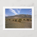 Recherche de cornfield cartes postales Champ de maïs