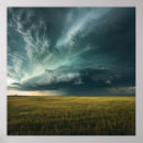 Recherche de furtif posters Nature