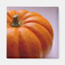 Recherche de courge magnets Nature