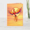 Zoek naar wedergeboorte kaarten Phoenix
