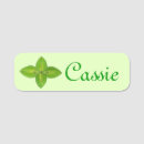 Recherche de marché bureau fournitures Vert