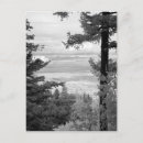 Recherche de artistic cartes postales Black and white