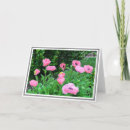 Recherche de crapaud vœux cartes Pour elle