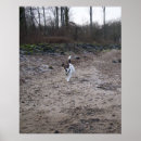 Zoek naar wintertijd posters Foto