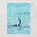 Recherche de penseur cartes postales Animal