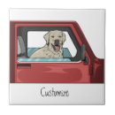 Recherche de chevaliers carreaux Animal