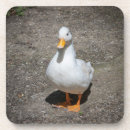 Recherche de canard mignon dessous de verres Animaux