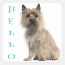 Recherche de terrier cairn autocollants Chien