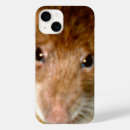 Recherche de rats iphone coques Rongeur