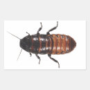 Zoek naar kakkerlakken stickers Cockroach
