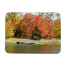 Recherche de sept magnets Nature