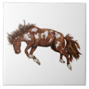 Recherche de étalon carreaux Poney