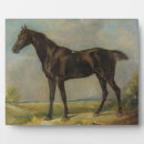 Recherche de gendarmerie Noir