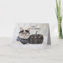 Recherche de chat citrouille vœux cartes Vacances