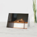 Recherche de terriers de cairn vœux cartes Blanc