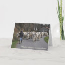 Recherche de tchèque vœux cartes Nouveau