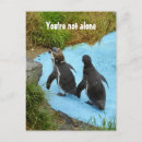 Recherche de oiseaux marins cartes postales Animal