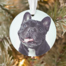 Zoek naar french bulldog ornamenten Schattige dieren