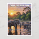 Recherche de le botswana posters Chobe
