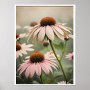 Recherche de echinacea posters Échinacée