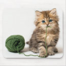 Recherche de chaton bébé tapis souris Photographie