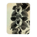 Recherche de vierge magnets Fleur